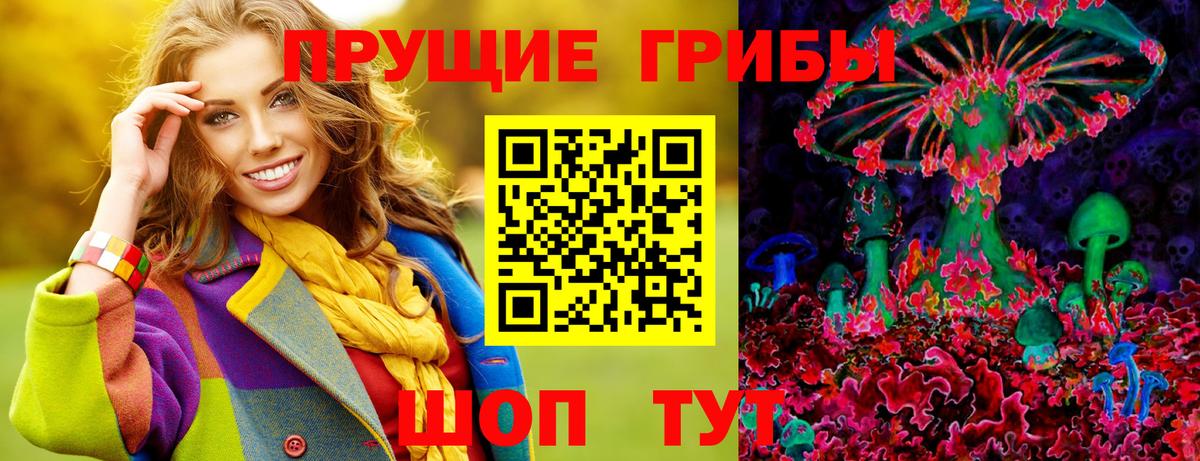 Шелехов  купить наркотик  Вход с VPN  Псилоцибиновые грибы GOLDEN TEACHER  Галлюциногенные грибы Psilocybe 